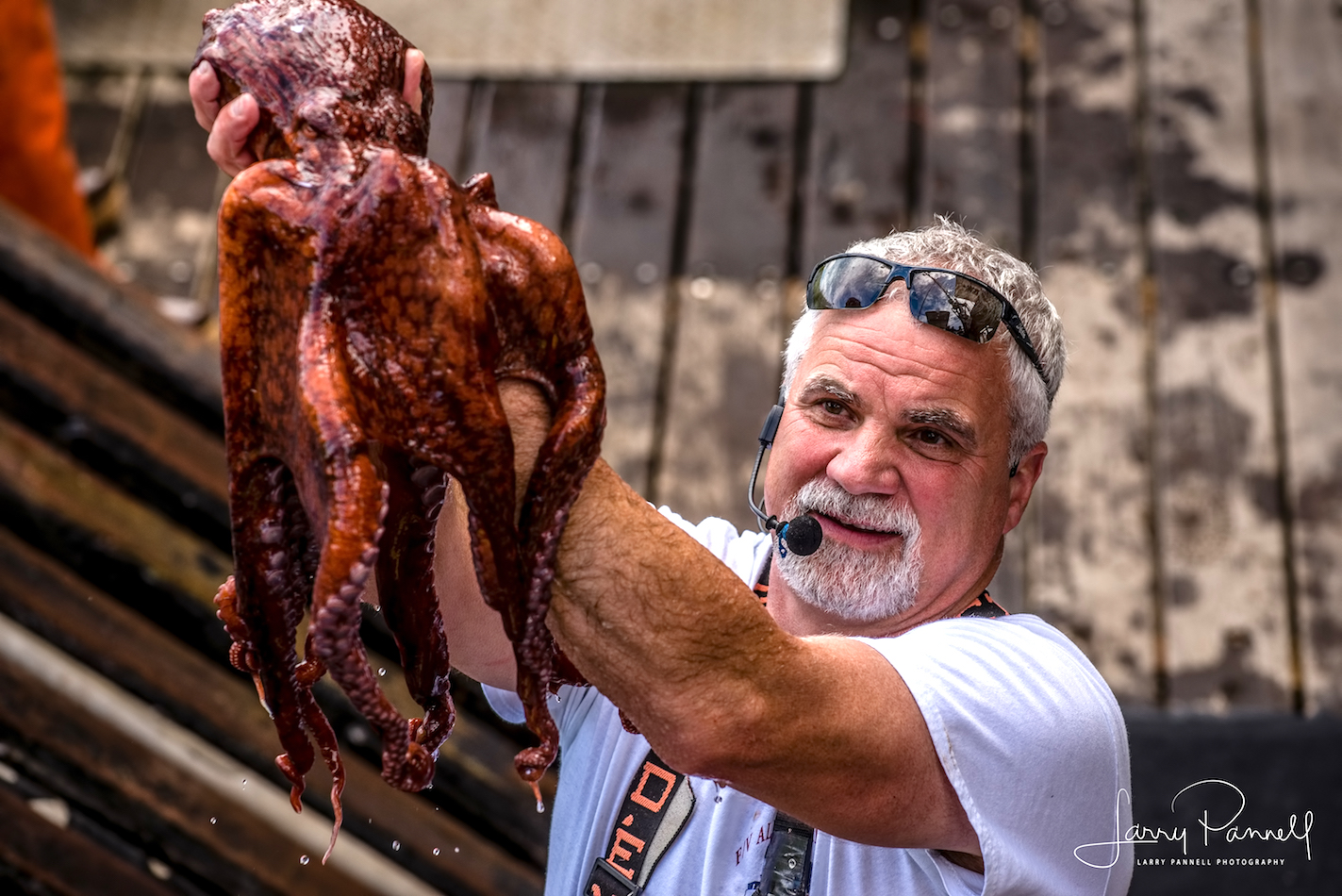 aleutian ballad_andy_octopus copy