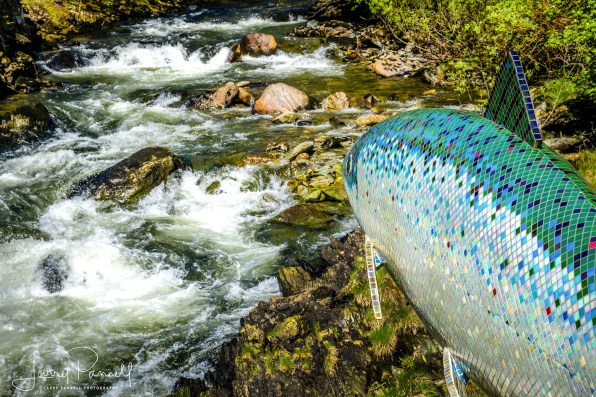ketchikan creek1_190