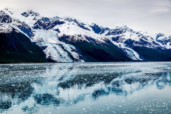 glacier_college fjord2 copy