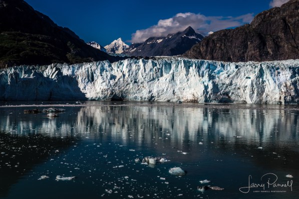 marjorie glacier_glacier bay2 copy