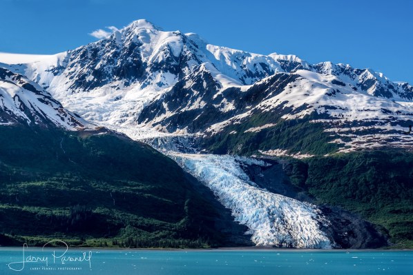 wellesley glacier_college fjord copy