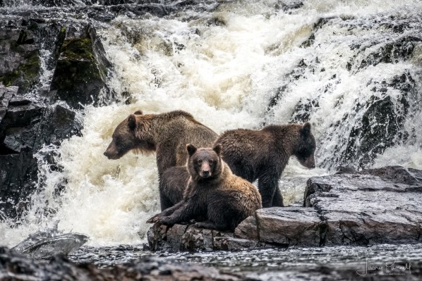 Kodiak Family_1023 copy