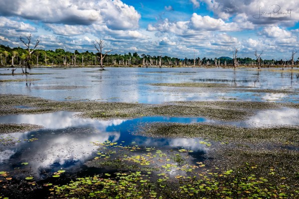 dsc 1891 neak pean lake_190