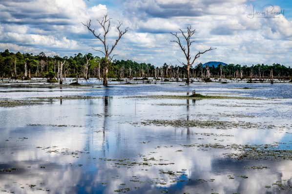 dsc 1931 neak pean lake_190