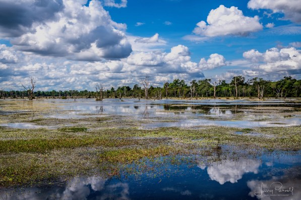dsc_1899_neak pean lake_190