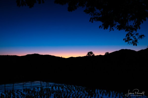 DSC 2871_kalm sunset1_190