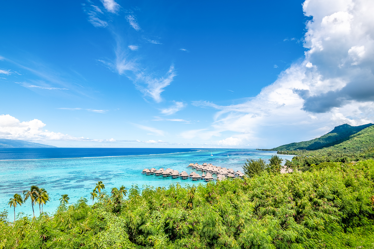 DSC 6011 moorea huts